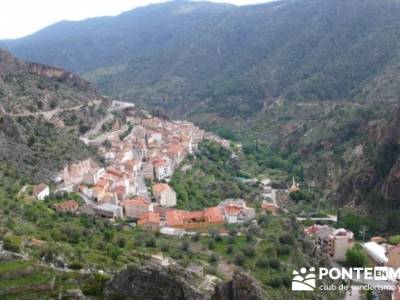 Ayna - Sierra del Segura; viajes aventura; tejo arbol